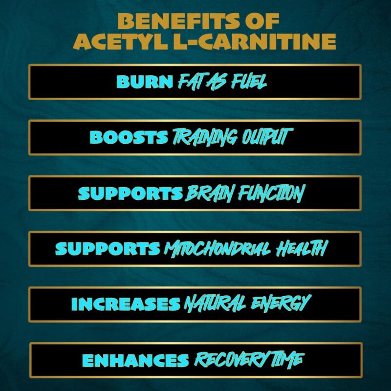 TXA Acetyl L-Carnitine - 60g unflavoured