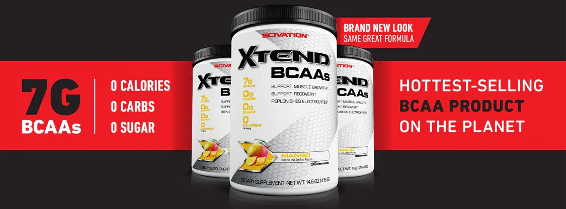 Scivation XTEND BCAA